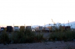 24oretermitana_2006_0382.jpg