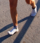 24oretermitana_2006_0437d.jpg