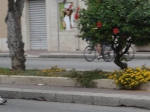 sali.e.saline (96).jpg