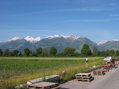 Clicca per vedere l'immagine alla massima grandezza