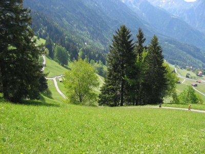 Clicca per vedere l'immagine alla massima grandezza