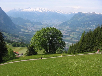 Clicca per vedere l'immagine alla massima grandezza