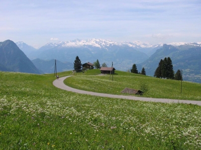 Clicca per vedere l'immagine alla massima grandezza