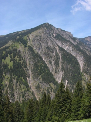 Clicca per vedere l'immagine alla massima grandezza