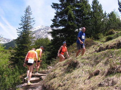 Clicca per vedere l'immagine alla massima grandezza