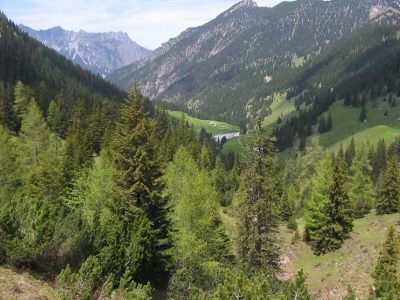 Clicca per vedere l'immagine alla massima grandezza