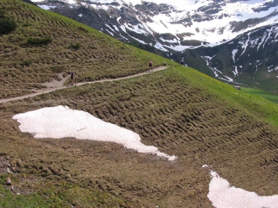 Clicca per vedere l'immagine alla massima grandezza