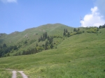 IMG_3725.JPG