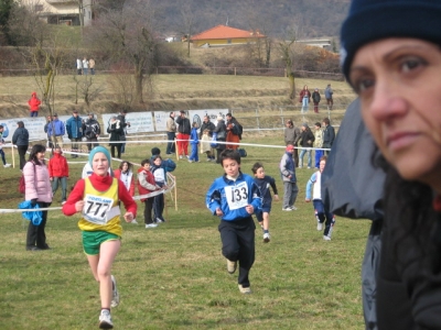 Clicca per vedere l'immagine alla massima grandezza