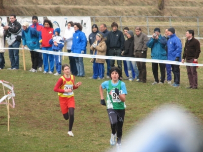 Clicca per vedere l'immagine alla massima grandezza
