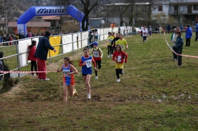 Clicca per vedere l'immagine alla massima grandezza
