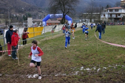 Clicca per vedere l'immagine alla massima grandezza