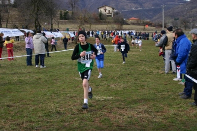 Clicca per vedere l'immagine alla massima grandezza