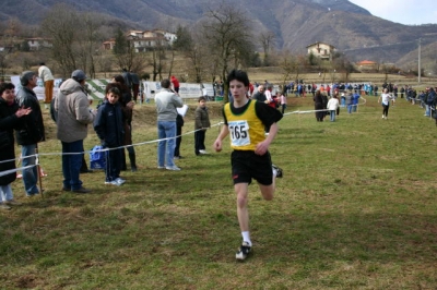 Clicca per vedere l'immagine alla massima grandezza
