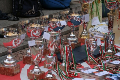 Clicca per vedere l'immagine alla massima grandezza