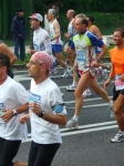 173.jpg