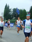 293.jpg