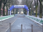 aa_verdimarathon_morselli 001.jpg