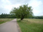 DSCF0175.jpg