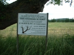 DSCF0176.jpg