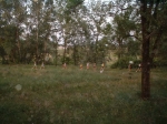 DSCF0073.jpg