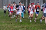 4.2.07Cinisello-T.Monga-roberto.mandelli-300.jpg