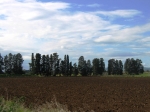 siracusa_11.02.07_0073.jpg
