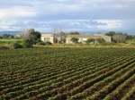 siracusa_11.02.07_0074.jpg