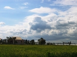 siracusa_11.02.07_0088.jpg