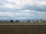 siracusa_11.02.07_0095.jpg