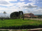 siracusa_11.02.07_0099.jpg