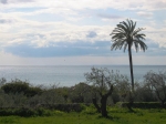 siracusa_11.02.07_0100.jpg