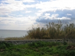 siracusa_11.02.07_0109.jpg