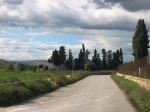 siracusa_11.02.07_0110.jpg