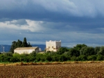 siracusa_11.02.07_0112.jpg