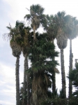 siracusa_11.02.07_0116.jpg