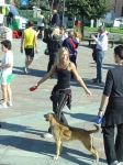 albinea_2007_164.jpg