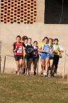 cross_001.jpg