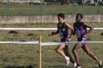 cross_124.jpg