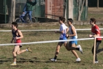 cross_129.jpg