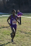 cross_202.jpg