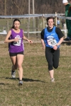 cross_230.jpg