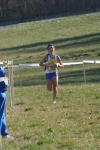 cross_296.jpg