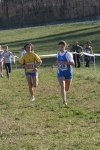 cross_313.jpg