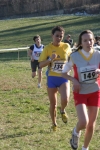 cross_317.jpg