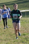 cross_326.jpg