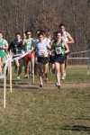 cross_338.jpg