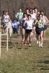 cross_339.jpg