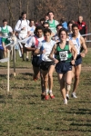 cross_340.jpg