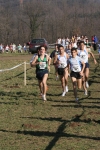 cross_341.jpg
